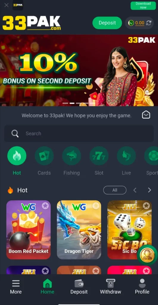 33PAK Game Interface