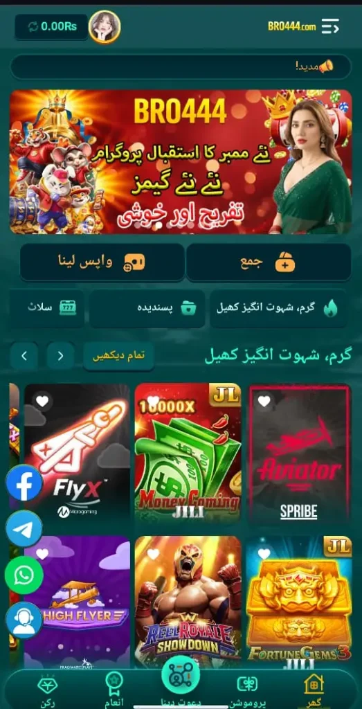 BRO444 Game Interface