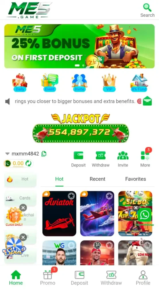 ME5 game Interface